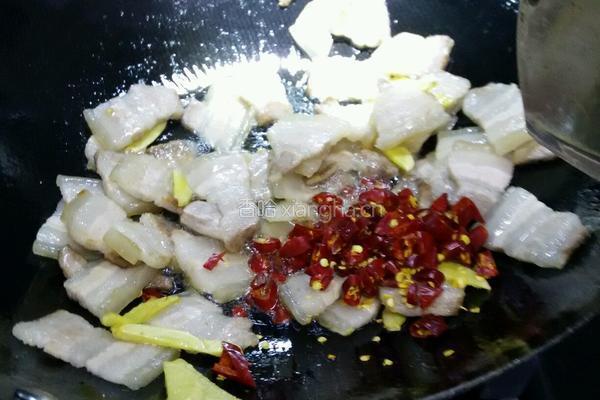 蒜苗回锅肉的做法图解7