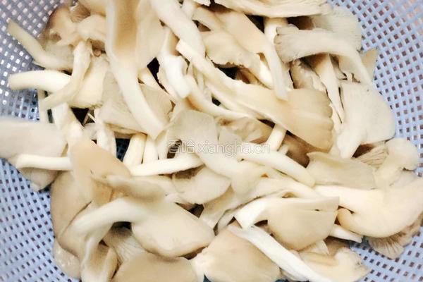 微辣瘦肉炒平菇的做法图解2