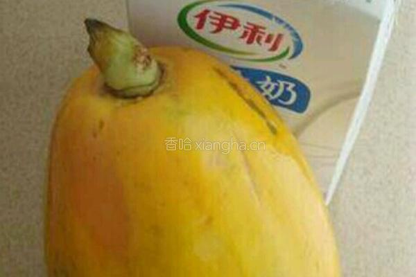 木瓜布丁的做法图解1