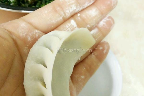 韭菜猪肉饺的做法图解8