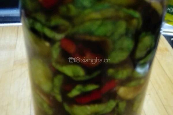 腌黄瓜的做法图解11