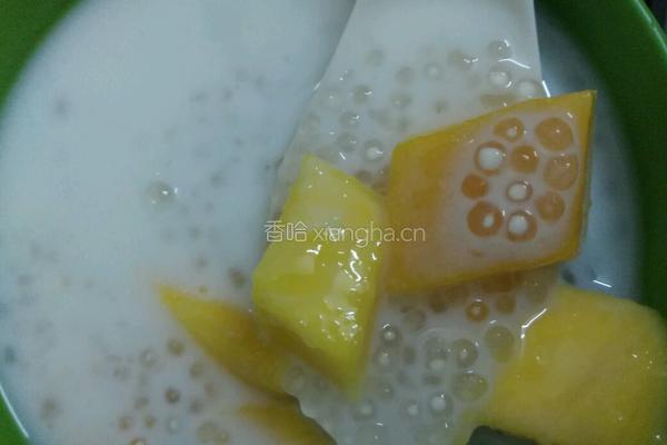 芒果西米露的做法图解5