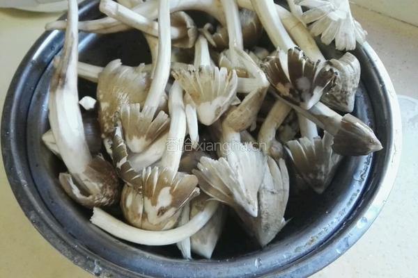 荔枝菌排骨汤的做法图解2