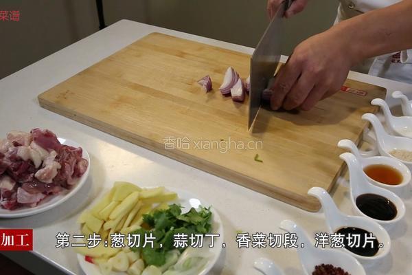鲜姜炒鸭块的做法图解3