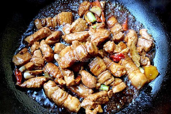 五花肉炖粉条的做法图解6