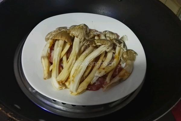 清蒸荔枝菌的做法图解5