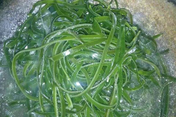 凉拌豆卷的做法图解2