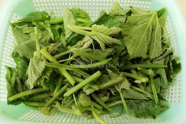 清炒南瓜藤的做法图解2