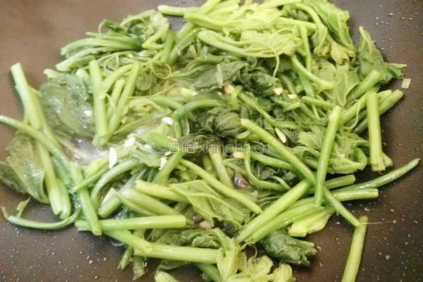 清炒南瓜藤的做法图解9
