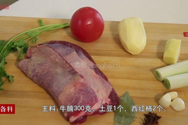 土豆西红柿炖牛腩的做法图解1