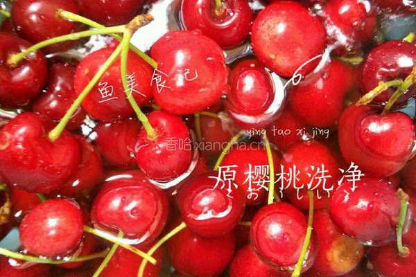 新鲜樱桃果酱的做法图解1