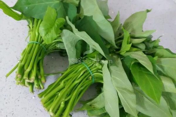 蒜茸红薯叶的做法图解1