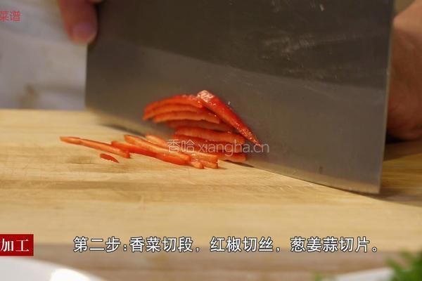芫爆里脊的做法图解2