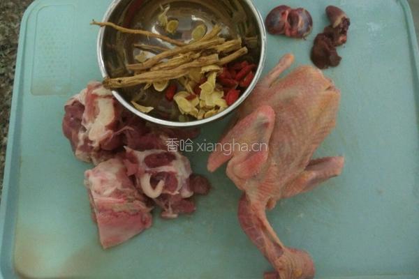 龙骨炖鸽子的做法图解1