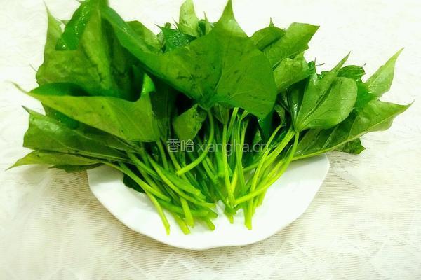 白灼红薯叶的做法图解4