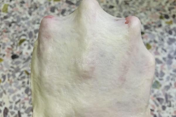 奥尔良鸡腿肉披萨(九寸)的做法图解7