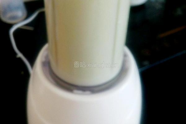 香瓜酸奶昔的做法图解6