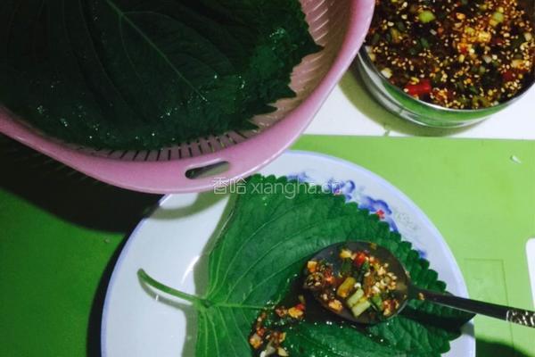 苏子叶咸菜的做法图解4