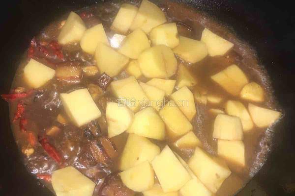 红烧肉烩土豆的做法图解8
