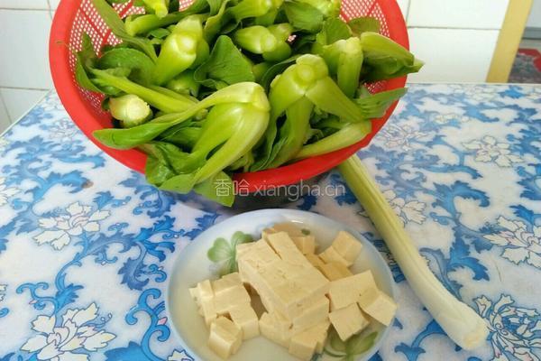 油菜豆腐约会的做法图解1