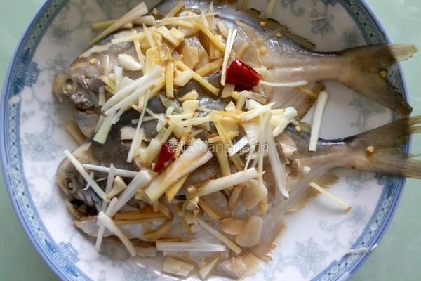 清蒸小白鲳鱼的做法图解7