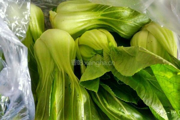 油菜花菇的做法图解1