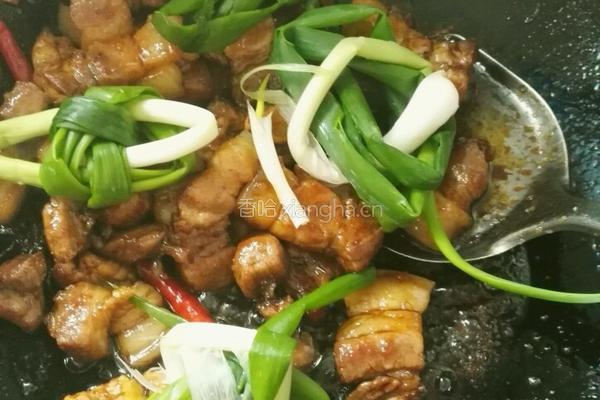 干烧红烧肉的做法图解6