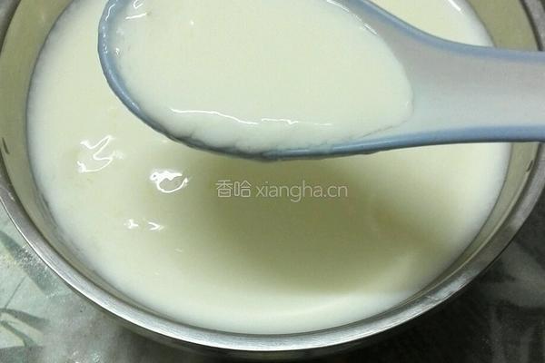 超简单的姜汁撞奶的做法图解6