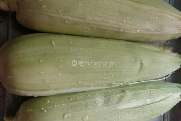 烤玉米的做法图解1