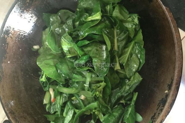 蒜香芥兰的做法图解6