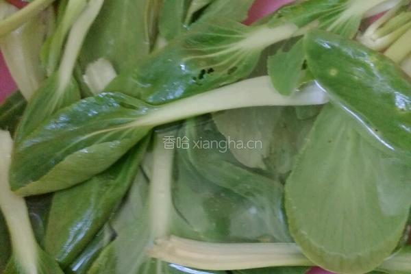 牛肉炒珍珠粉的做法图解3