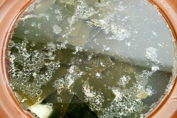 筒子骨海带汤的做法图解7