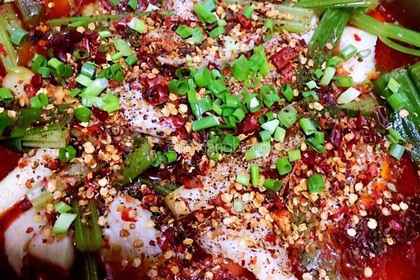 麻辣水煮鱼的做法图解14