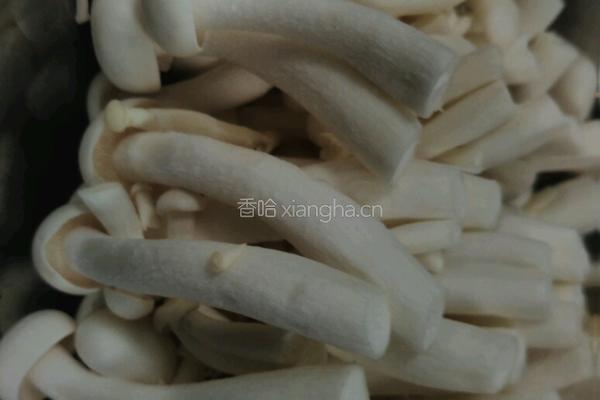 蘑姑炒鸡的做法图解3