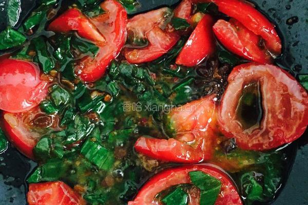 香菇牛肉面的做法图解3