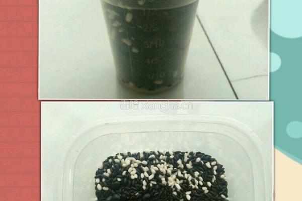 三黑豆浆的做法图解1