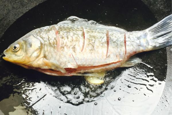 鲫鱼豆腐汤的做法图解3