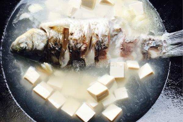 鲫鱼豆腐汤的做法图解6