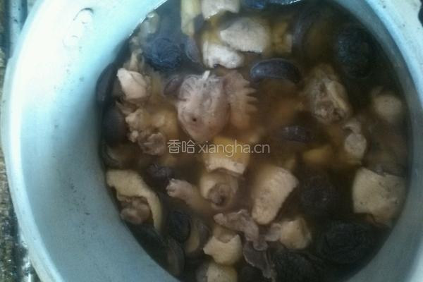 香菇炖鸡的做法图解10