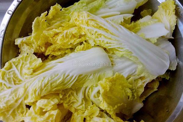 砂锅炖五花肉冻豆腐娃娃菜的做法图解3