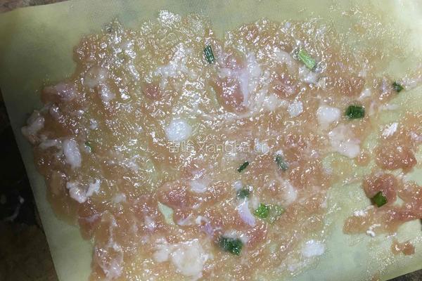 豆皮蒸肉卷的做法图解7