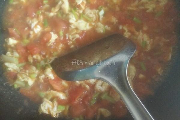 番茄炒蛋的做法图解6