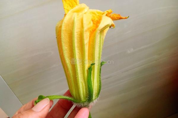 南瓜花酿肉的做法图解2