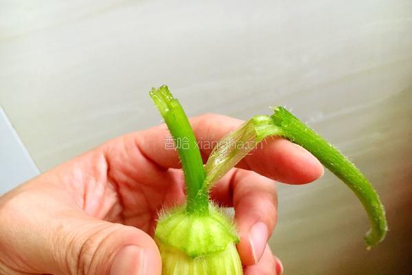 南瓜花酿肉的做法图解3