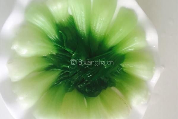 白灼虾的做法图解2