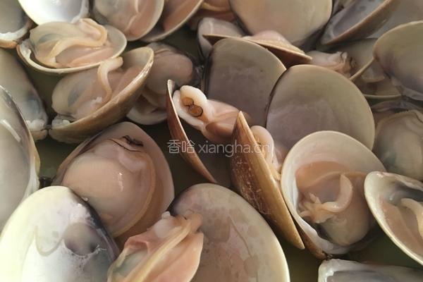 沙白蒸水蛋的做法图解2