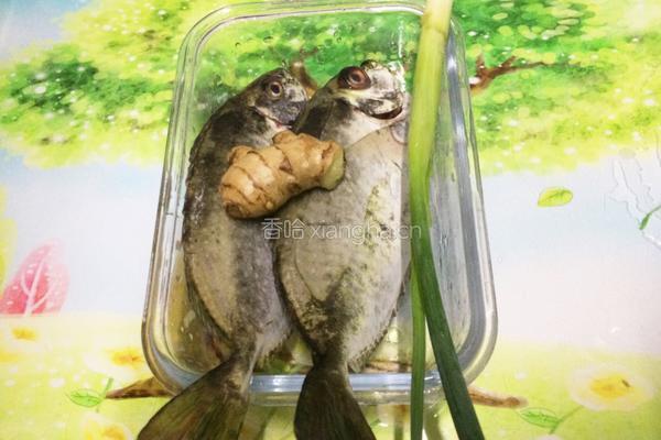 香煎泥猛鱼的做法图解1