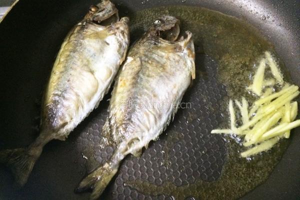 香煎泥猛鱼的做法图解5