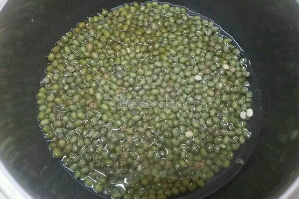 绿豆糖水的做法图解2