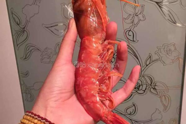 自制虾丸的做法图解1